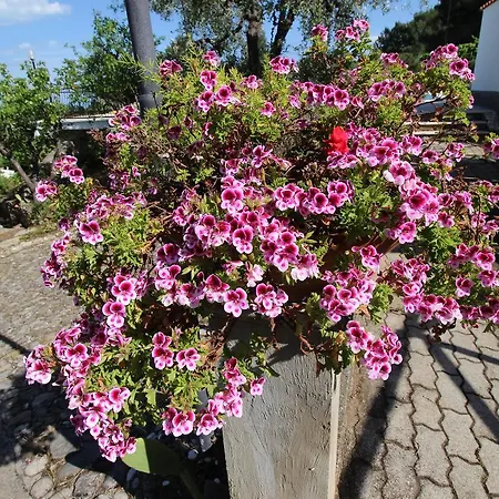 Villaggio Passo Dell'arciprete ויאסטה